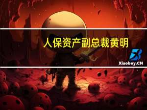 人保资产副总裁黄明：长周期考核机制有利于险资加大权益市场布局 更好发挥稳定器作用