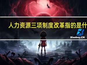 人力资源三项制度改革指的是什么（三项制度改革指的是什么）