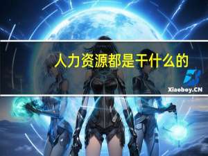 人力资源都是干什么的