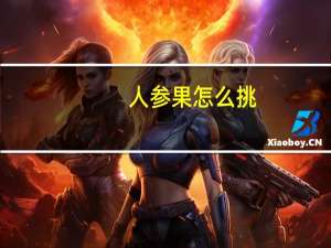 人参果怎么挑