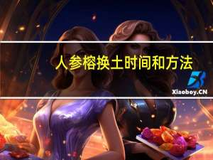 人参榕换土时间和方法