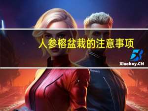 人参榕盆栽的注意事项