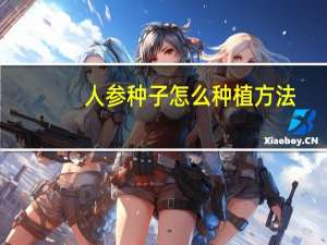 人参种子怎么种植方法