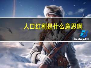 人口红利是什么意思啊
