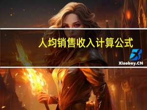 人均销售收入计算公式