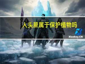人头蕨属于保护植物吗