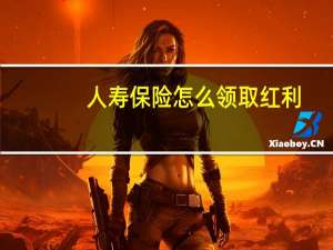 人寿保险怎么领取红利（人寿保险分红的钱怎么领取?）