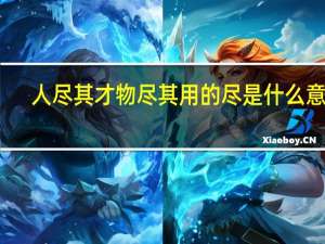 人尽其才物尽其用的尽是什么意思