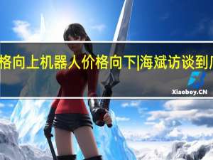 人工价格向上机器人价格向下 | 海斌访谈 到底什么情况嘞