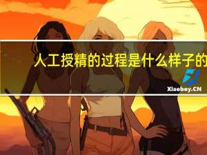 人工授精的过程是什么样子的（人工授精的过程是什么）