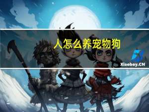 人怎么养宠物狗