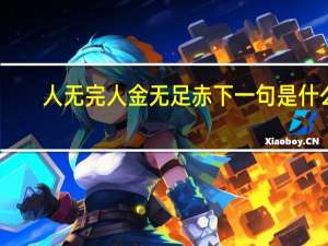 人无完人金无足赤下一句是什么