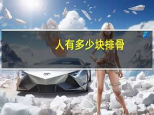人有多少块排骨