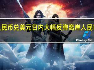 人民币兑美元日内大幅反弹 离岸人民币升破7.33