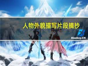 人物外貌描写片段摘抄(老师)250（人物外貌描写片段老师）