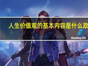 人生价值观的基本内容是什么政治