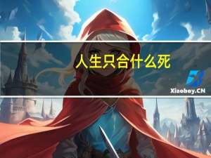 人生只合什么死