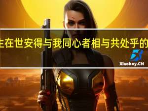 人生在世安得与我同心者相与共处乎的表达感情