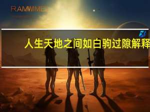 人生天地之间如白驹过隙解释