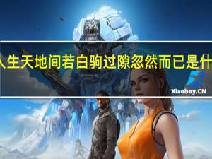 人生天地间若白驹过隙忽然而已是什么意思（人生天地间 若白驹过隙 忽然而已(解释)）