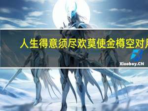 人生得意须尽欢 莫使金樽空对月!（人生得意须尽欢莫使金樽空对月的意思）