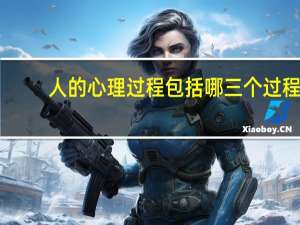 人的心理过程包括哪三个过程