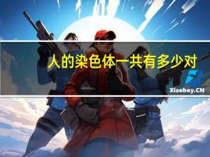人的染色体一共有多少对（xy染色体是什么意思）