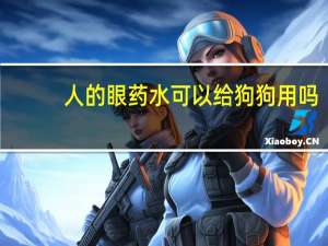 人的眼药水可以给狗狗用吗