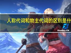 人称代词和物主代词的区别是什么