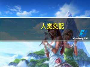 人类交配
