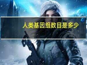 人类基因组数目是多少