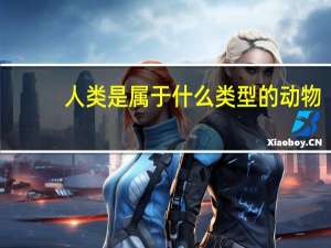 人类是属于什么类型的动物