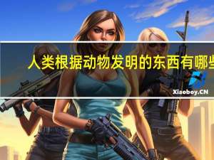 人类根据动物发明的东西有哪些