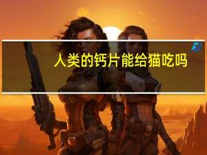 人类的钙片能给猫吃吗