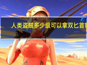 人类盗贼多少级可以拿双匕首啊