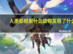 人类都根据什么动物发明了什么（人类根据什么动物发明了什么）
