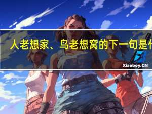 人老想家、鸟老想窝的下一句是什么