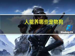 人能养哪些宠物狗