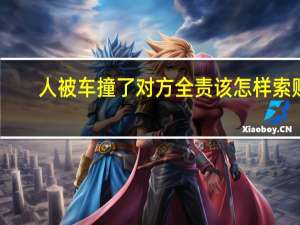 人被车撞了对方全责该怎样索赔