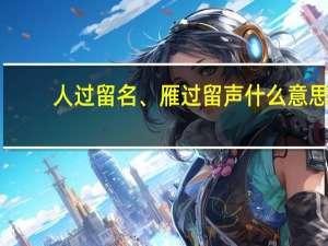 人过留名、雁过留声什么意思