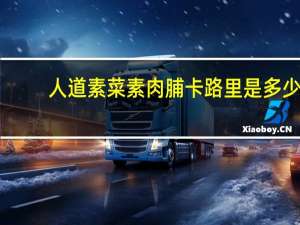 人道素菜 素肉脯卡路里是多少