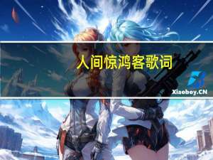 人间惊鸿客歌词（人间惊鸿客 歌词）