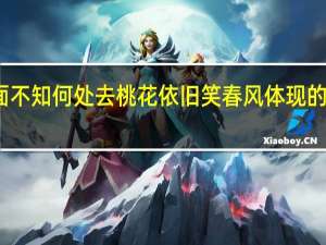 人面不知何处去桃花依旧笑春风体现的哲学道理（人面不知何处去 桃花依旧笑春风 是什么意思）