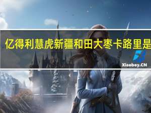 亿得利 慧虎 新疆和田大枣卡路里是多少