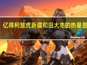 亿得利 慧虎 新疆和田大枣的热量是多少