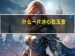 什么一片冰心在玉壶（一片冰心在玉壶的冰心是什么意思）