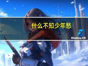 什么不知少年愁