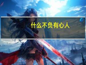 什么不负有心人