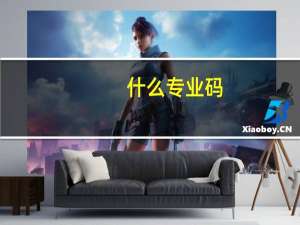什么专业码