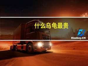 什么乌龟最贵